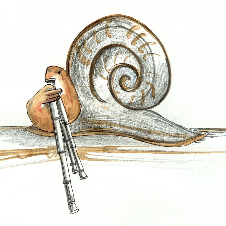 mine de plomb, café, aquarelle