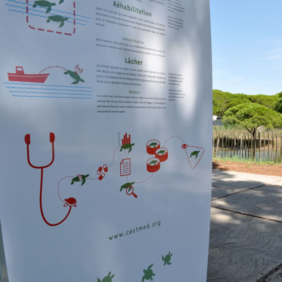 signalétique, in situ, centre de soins des tortues marines