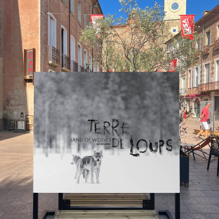 affiche